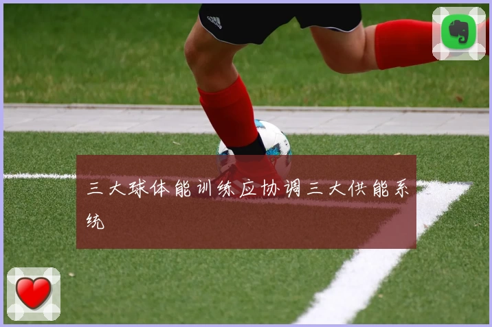 三大球体能训练应协调三大供能系统