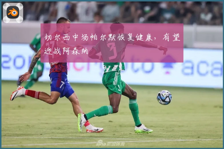 切尔西中场帕尔默恢复健康，有望迎战阿森纳