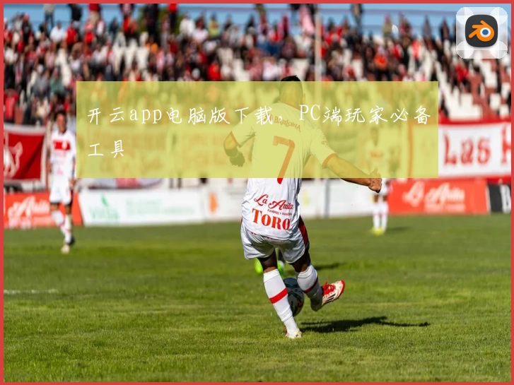 开云app电脑版下载，PC端玩家必备工具
