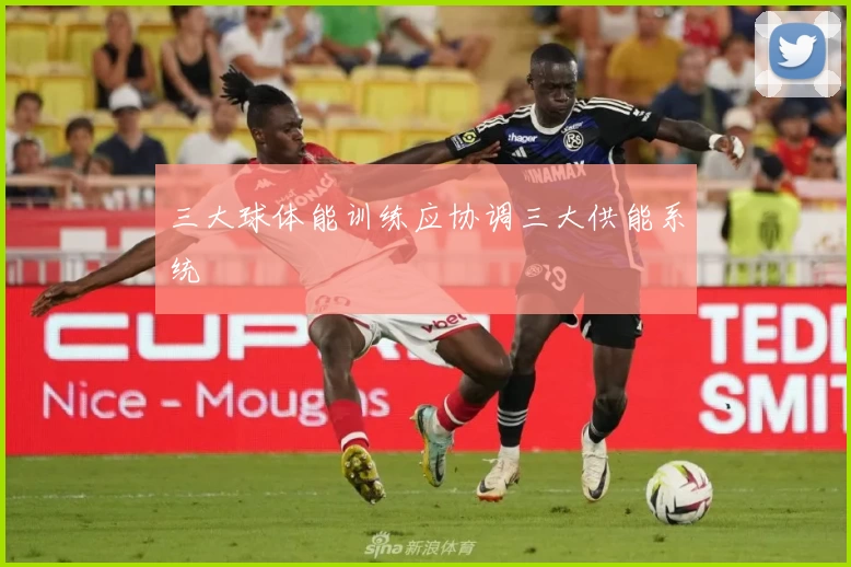 三大球体能训练应协调三大供能系统