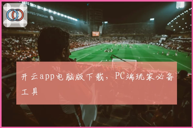 开云app电脑版下载，PC端玩家必备工具