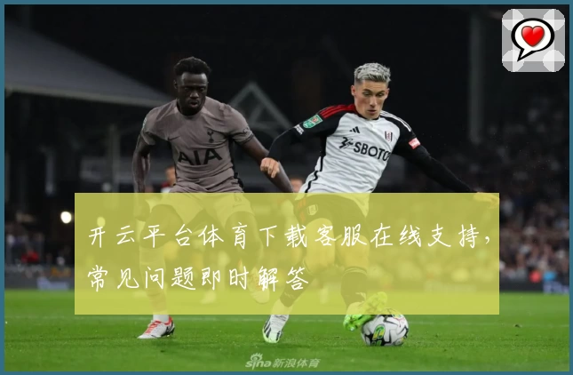 开云平台体育下载客服在线支持，常见问题即时解答